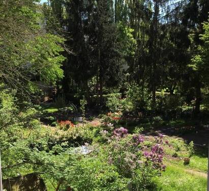 Ausblick Garten - 