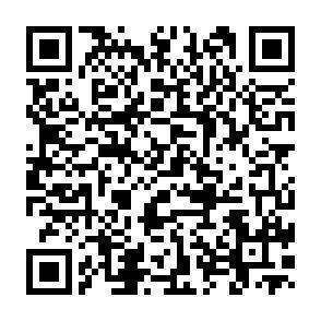 QR-Code - 