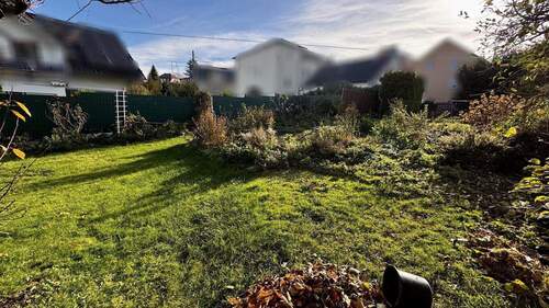 Blick in den Garten - 