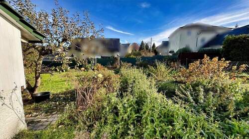 Blick in den Garten - 