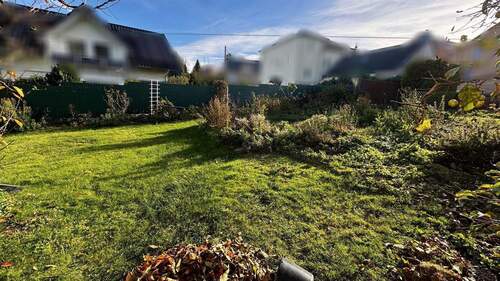 Blick in den Garten - 