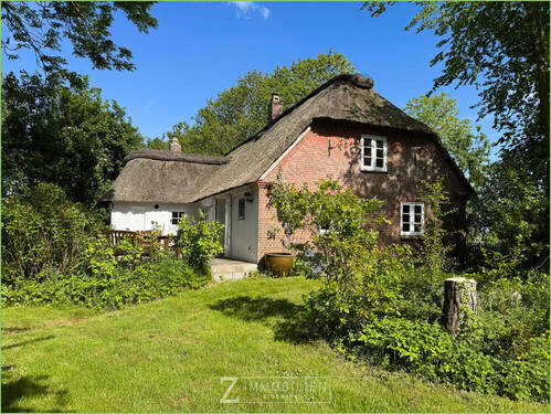 Blick auf die Terrasse - Wo Rosen blühen und Geschichte wohnt - Reetdachhaus in ruhiger Lage**