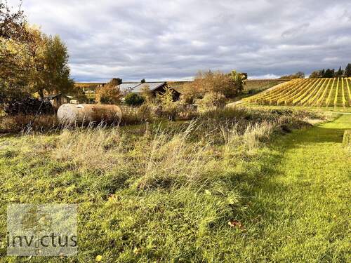 Ansicht von oben - Freizeitidylle pur - Ruhe, Sonne und Natur in den Weinbergen von Leingarten