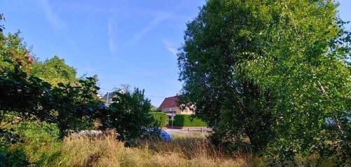 Bild 5 - Grundstück zum Kaufen in Frohburg