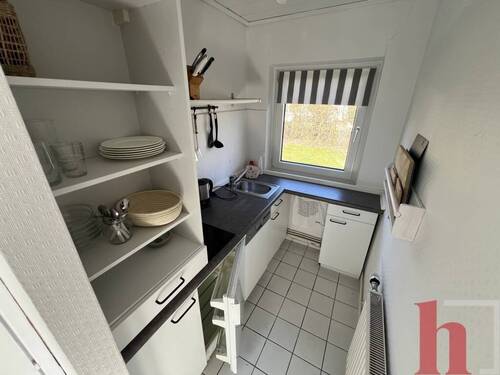 Kochen - 