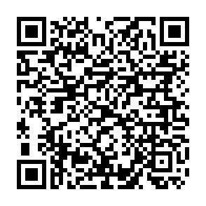 QR-Code - 