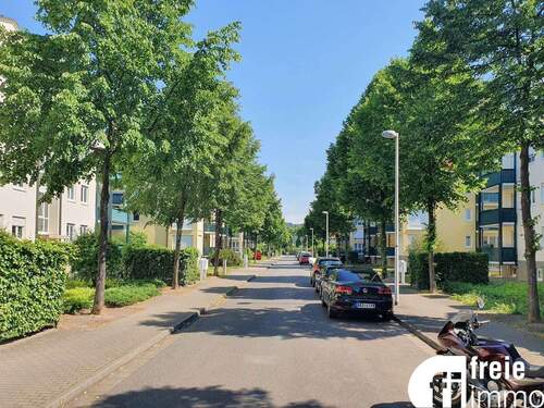 Umfeld mit Blick zur Elbe - 