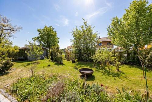 Garten in Süd-Ausrichtung - 