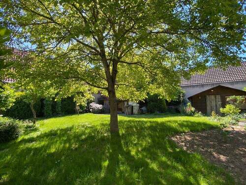 schattiges Plätzchen ... - 