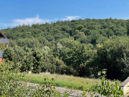 Blick vom Grundstück - 