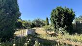 Gepflasterter Weg durch den Garten - 