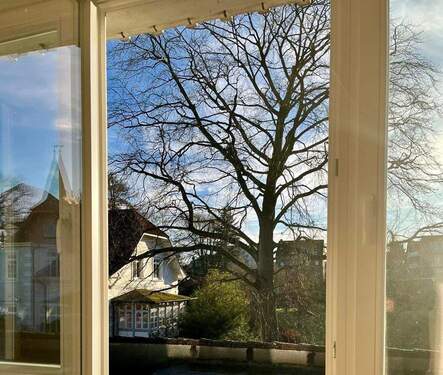 Blick aus dem Wohnzimmer - von PRIVAT: Exkl., sonnige 'Haus-im-Haus'-ETW, beste Villenlage Zentrum