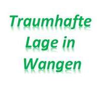 Schönes EFHGrundstück in Top-Lage von Wangen, sehr ruhig, wenig Verkehr, wunderbar grün - Wangen im Allgäu