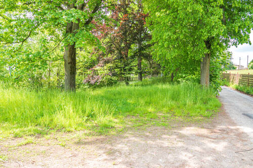 DSC00396 - Grundstück in Jahnsdorf zum Kaufen