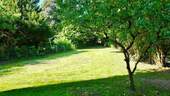 Nordwest Gartenfläche - 