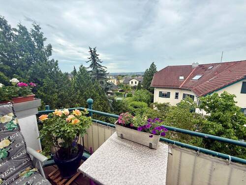 Blick vom Balkon - 2 Zimmer Einfamilienhaus zum Kaufen in Radebeul