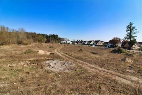Westansicht - 