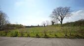 Wiese hinter dem Haus - 