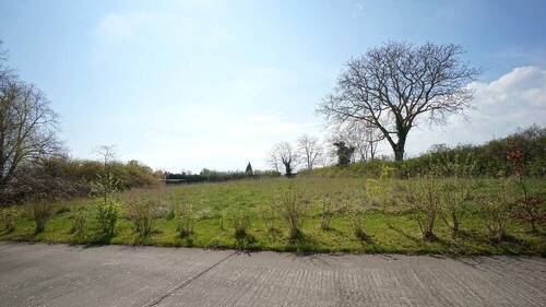 Wiese hinter dem Haus - 