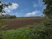 Ausblick - 