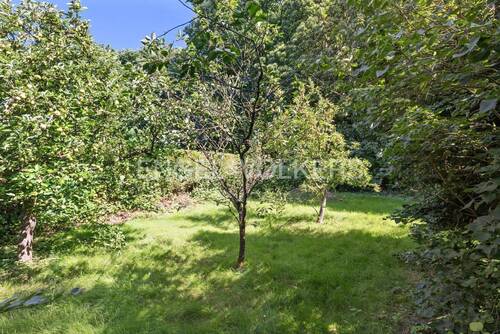 Aufnahme rückwärtiger Garten - 