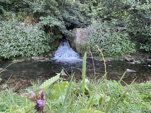 Fluss Oos - 