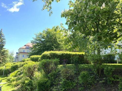 Außenanlage - 2 Zimmer Etagenwohnung zum Kaufen in Zwickau