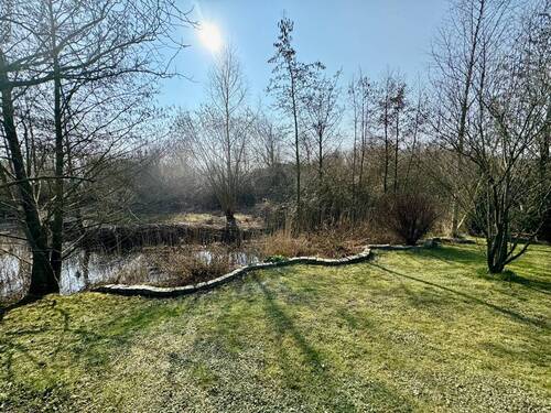 Ausblick aus dem Garten - 