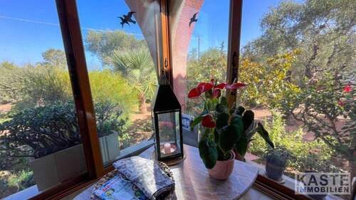 Terrasse - 