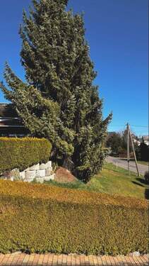 Grundstück zur Straße - 