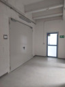 Fläche - 
