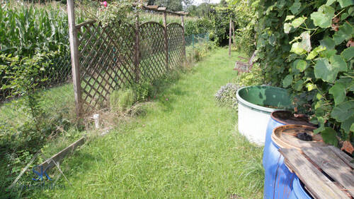 Grenze zum Feld - 