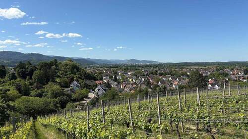 Blick vom Mauracher Berg in Richtung Freiburg - Etagenwohnung mit 48,90 m&sup2; in Denzlingen zum Kaufen