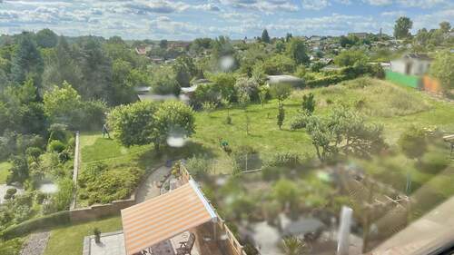 Blick in den Garten - 