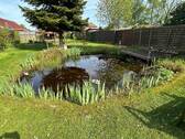 Teichanlage - 