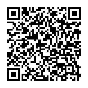 QR-Code - 