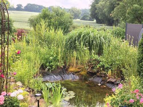 Teich Sommer - 3 Zimmer Einfamilienhaus in Schönkirchen