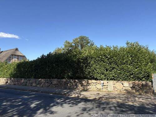 Strassenansicht mit Wall und Hecke - Grundstück in Egestorf