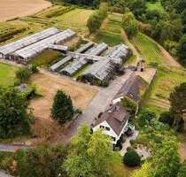 Willkommen im Grünen - Einfamilienhaus mit vielseitigem Grundstück in ruhiger Lage - Essen Burgaltendorf