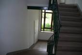Treppenhaus.jpg - 2 Zimmer Etagenwohnung in Chemnitz