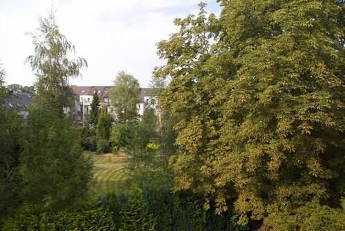 Blich ins grüne.jpg - 