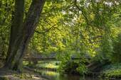 Umgebung - 