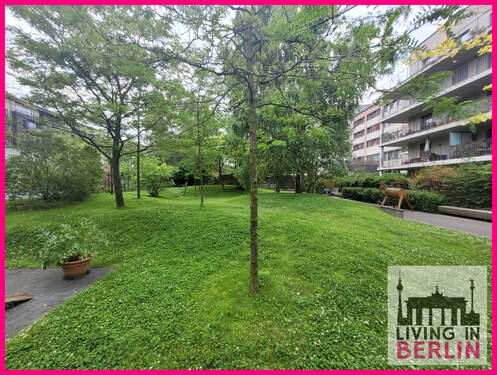 Gemeinschaftsgarten - 