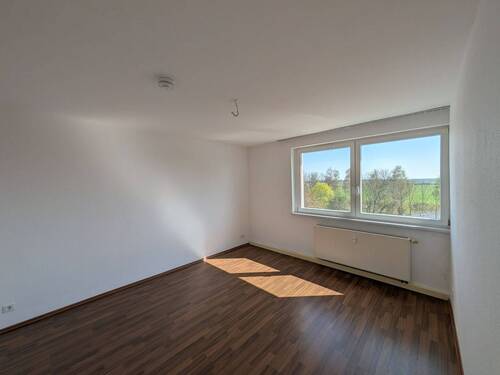 Zimmer - 