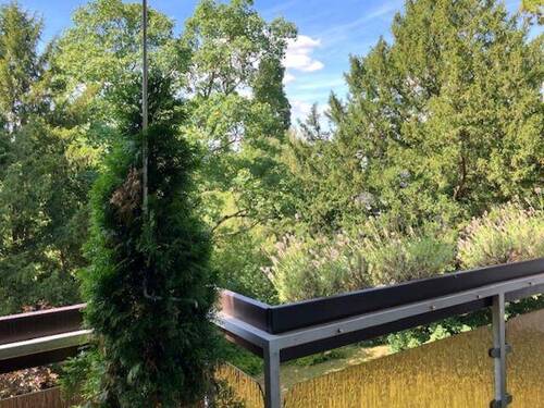 Blick ins Grüne - Sehr gepflegte 3-Zimmer-Wohnung im Aukamm