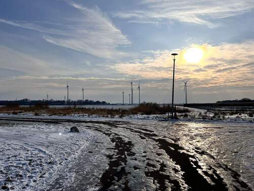 Blick in die Natur - 