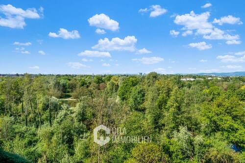 Ausblick - 