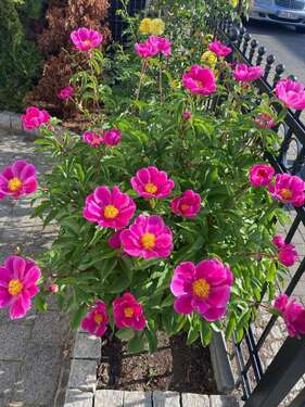 Impressionen - 