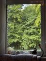 Blick zum See.jpg - 