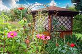 Blumenwiese - 